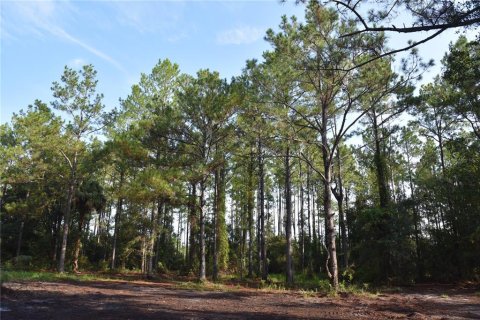 Terreno en venta en Palatka, Florida № 1905054 - foto 17