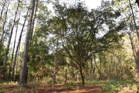 Terreno en venta en Palatka, Florida № 1905054 - foto 24
