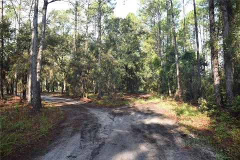 Terreno en venta en Palatka, Florida № 1905054 - foto 28