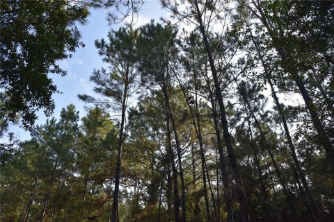 Terreno en venta en Palatka, Florida № 1905054 - foto 23