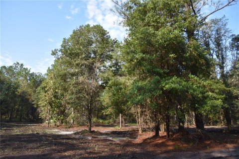 Terreno en venta en Palatka, Florida № 1905054 - foto 18