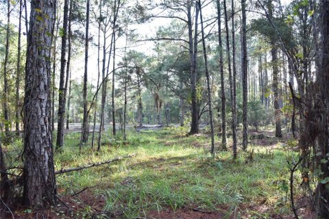 Terreno en venta en Palatka, Florida № 1905054 - foto 15