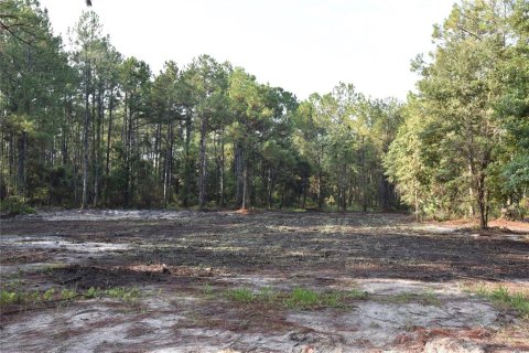 Terreno en venta en Palatka, Florida № 1905054 - foto 10