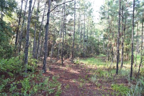 Terreno en venta en Palatka, Florida № 1905054 - foto 22