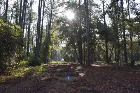 Terreno en venta en Palatka, Florida № 1905054 - foto 2
