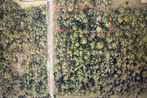 Land in Dunnellon, Florida № 2216366 - photo 2