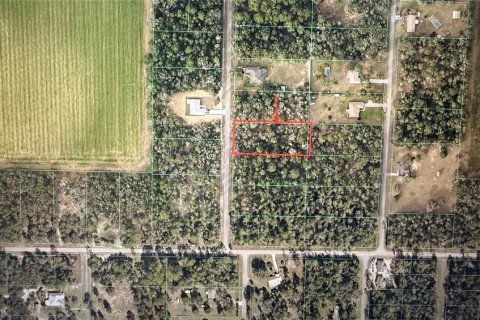 Land in Dunnellon, Florida № 2216366 - photo 3