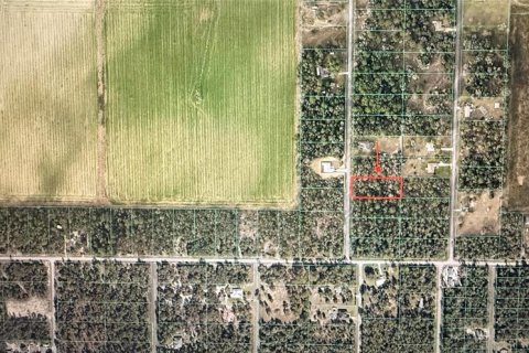 Land in Dunnellon, Florida № 2216366