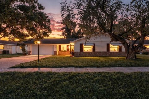 Villa ou maison à Lakeland, Floride 3 chambres, 133.41 m2 № 2416662