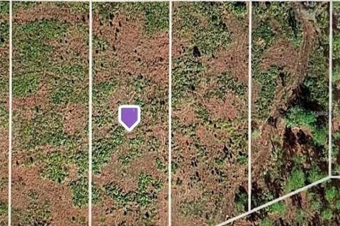 Land in Lake Wales, Florida № 2163022