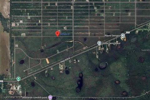 Land in Lake Wales, Florida № 2163022 - photo 2