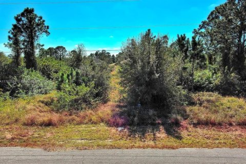 Terreno en venta en Lehigh Acres, Florida № 2164294 - foto 5