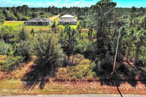 Terreno en venta en Lehigh Acres, Florida № 2164294 - foto 6