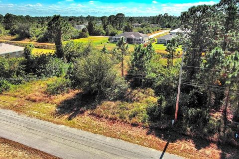 Terreno en venta en Lehigh Acres, Florida № 2164294 - foto 4