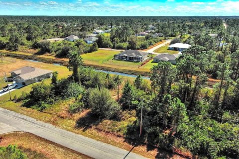 Terreno en venta en Lehigh Acres, Florida № 2164294 - foto 2