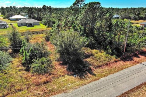 Terreno en venta en Lehigh Acres, Florida № 2164294 - foto 7
