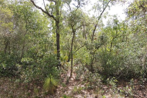Land in Cedar Key, Florida № 2158706 - photo 6