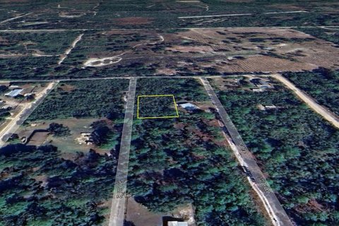 Land in Cedar Key, Florida № 2158706 - photo 4