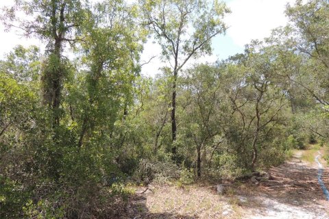 Land in Cedar Key, Florida № 2158706