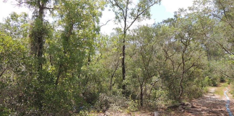 Land in Cedar Key, Florida № 2158706