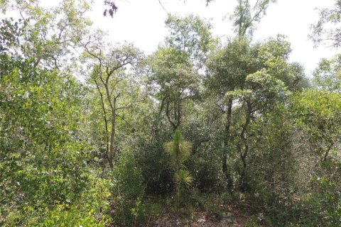 Land in Cedar Key, Florida № 2158706 - photo 3