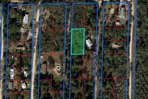 Land in Cedar Key, Florida № 2158706 - photo 2