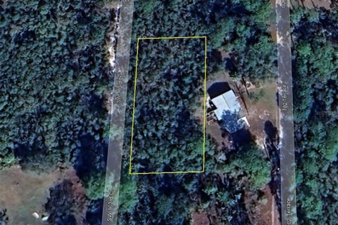 Land in Cedar Key, Florida № 2158706 - photo 7