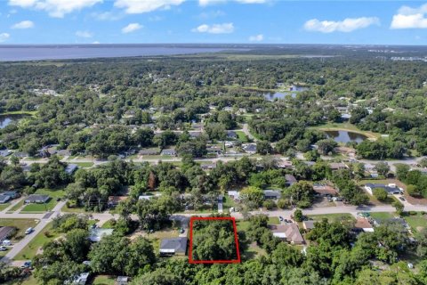 Land in DeBary, Florida № 2230221 - photo 7