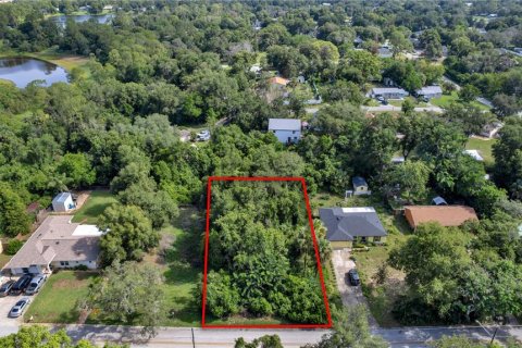 Land in DeBary, Florida № 2230221 - photo 4