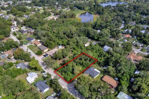Land in DeBary, Florida № 2230221 - photo 6