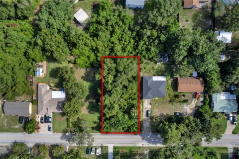 Land in DeBary, Florida № 2230221 - photo 2