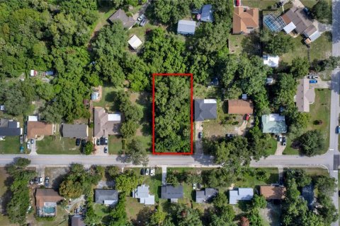 Land in DeBary, Florida № 2230221 - photo 9