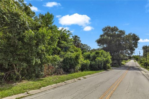 Land in DeBary, Florida № 2230221 - photo 3