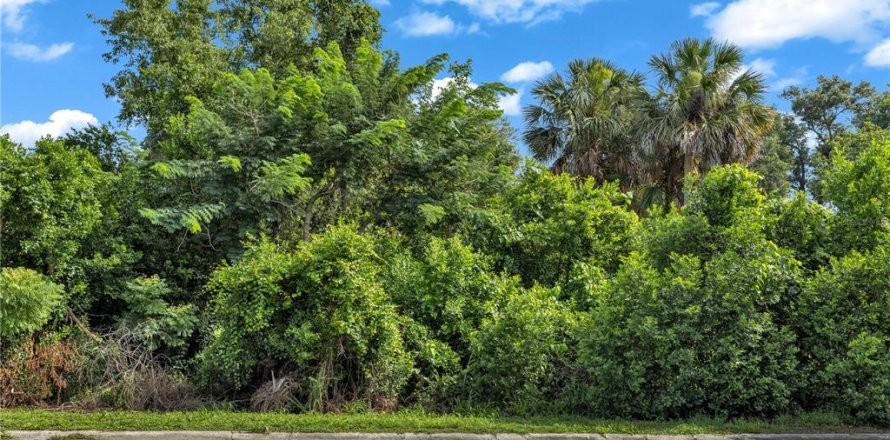 Land in DeBary, Florida № 2230221