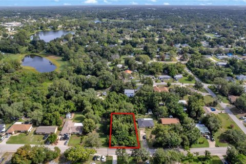 Land in DeBary, Florida № 2230221 - photo 5