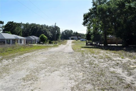 Land in Ocala, Florida № 2206307 - photo 5