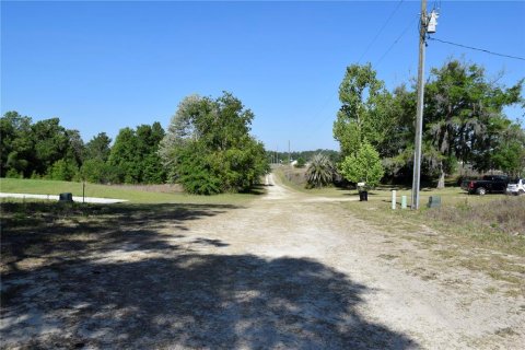 Land in Ocala, Florida № 2206307 - photo 4