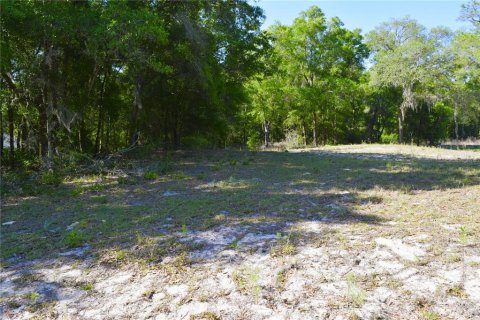 Land in Ocala, Florida № 2206307 - photo 3