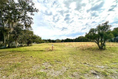 Land in Sanford, Florida № 1870422 - photo 5