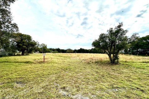 Land in Sanford, Florida № 1870422 - photo 3