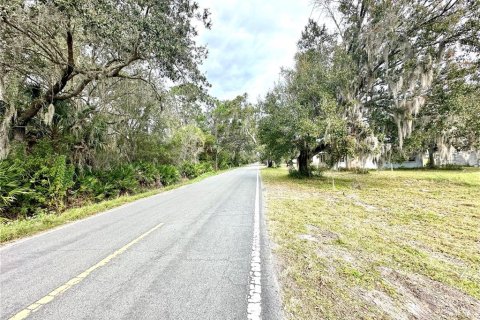 Land in Sanford, Florida № 1870422 - photo 4
