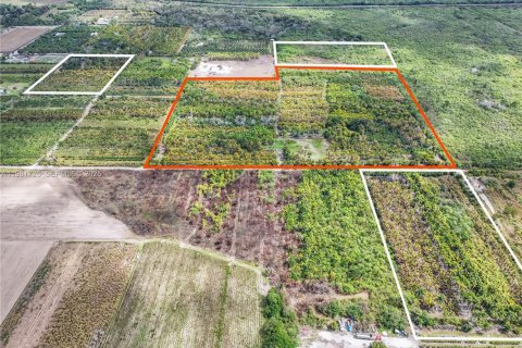 Commercial property in Florida City, Florida № 2057870