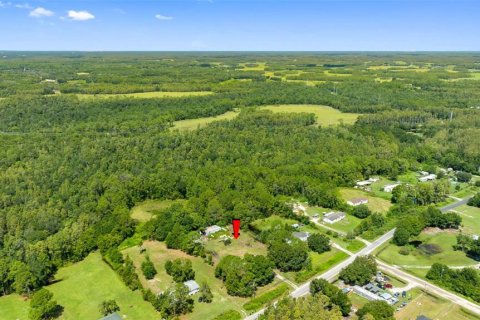 Land in Polk City, Florida № 1919266 - photo 3