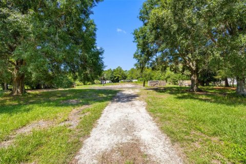 Land in Polk City, Florida № 1919266 - photo 15