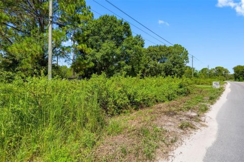 Land in Polk City, Florida № 1919266 - photo 17