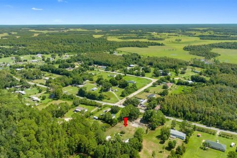 Land in Polk City, Florida № 1919266 - photo 5