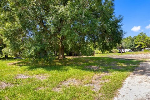 Land in Polk City, Florida № 1919266 - photo 14