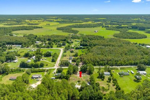 Land in Polk City, Florida № 1919266 - photo 4