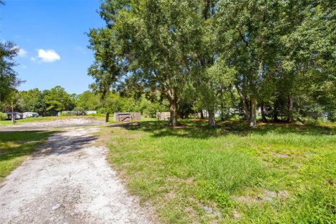 Land in Polk City, Florida № 1919266 - photo 13