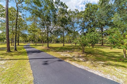 Villa ou maison à vendre à Ocala, Floride: 3 chambres, 198.44 m2 № 2144727 - photo 5
